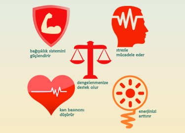 Chopra Center Sertifikalı Meditasyon Semineri
